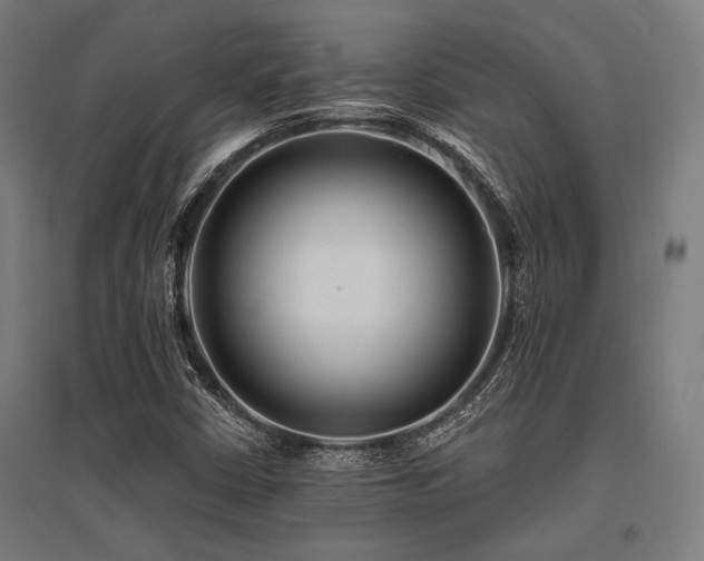 X0000096171402200801181240