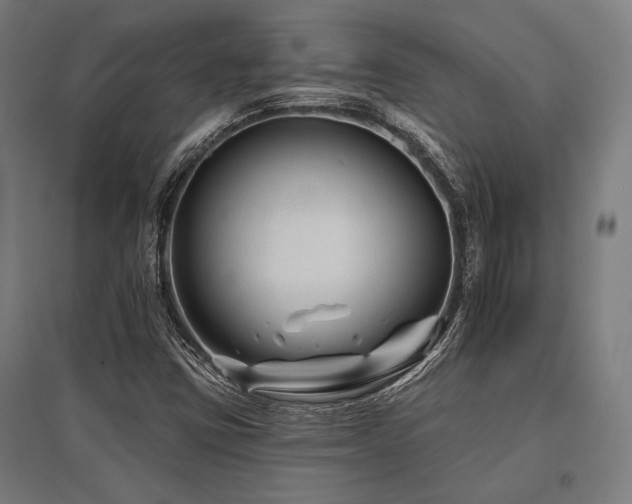 X0000096171403200801181240