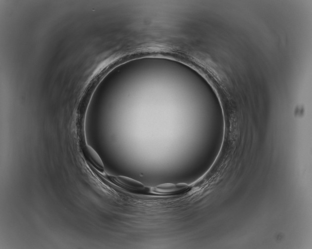 X0000096171404200801181240