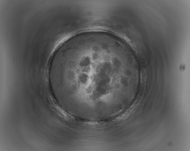 X0000096171405200801181240