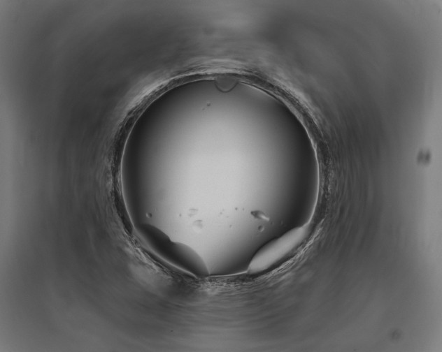 X0000096171407200801181240