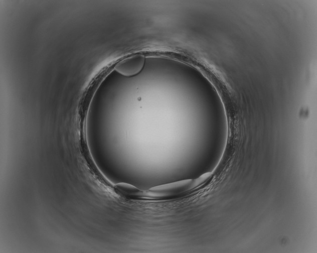 X0000096171408200801181240