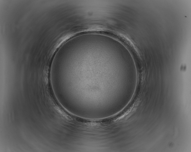 X0000096171409200801181240