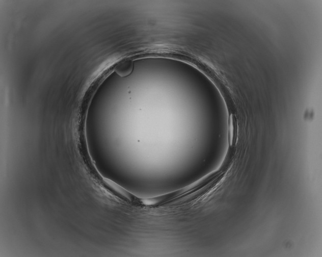 X0000096171410200801181240
