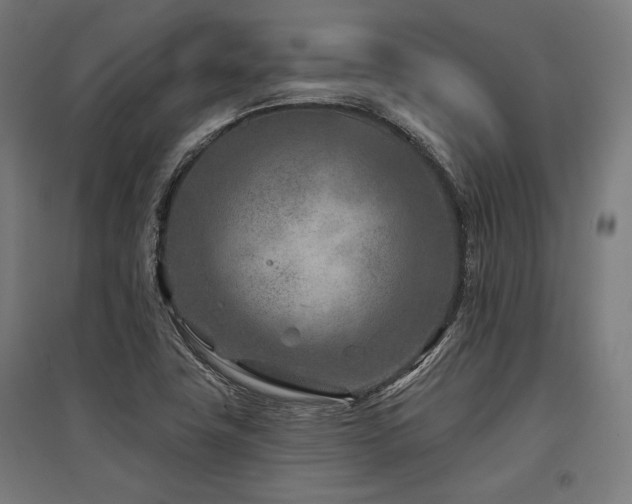 X0000096171411200801181240