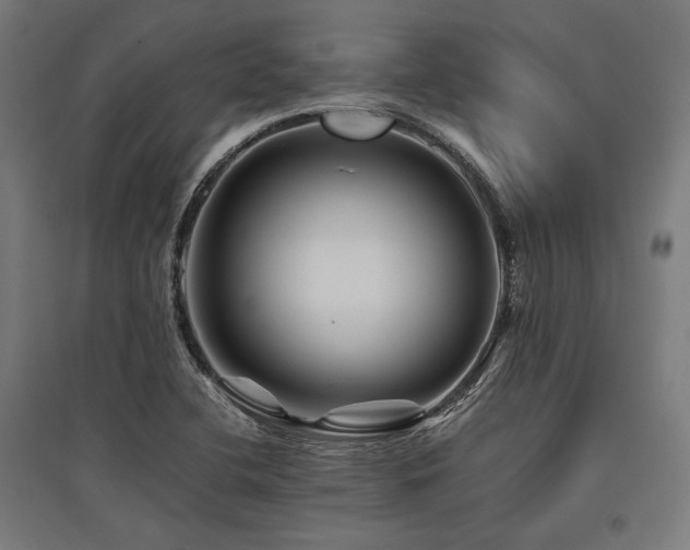 X0000096171412200801181240