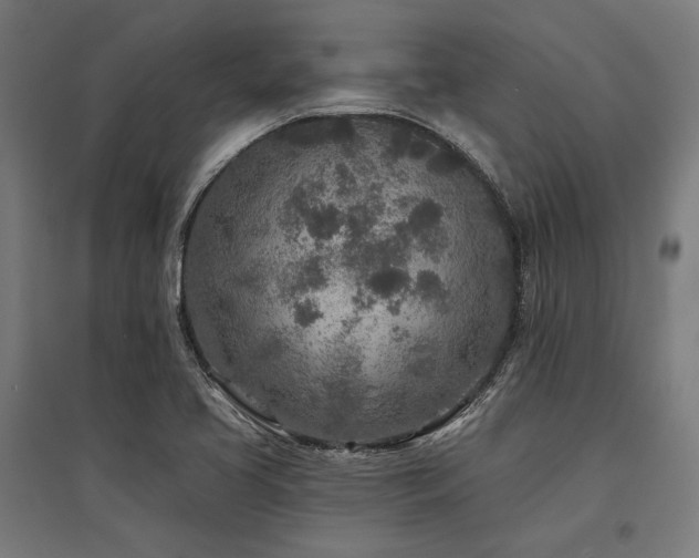X0000096171413200801181240