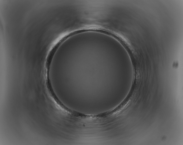 X0000096171414200801181240