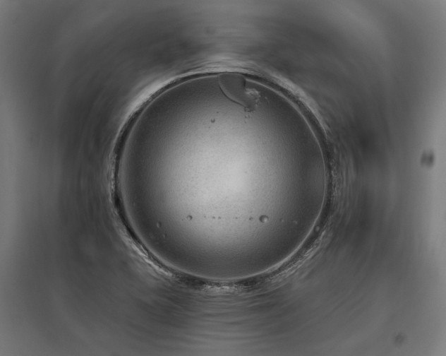 X0000096171415200801181240