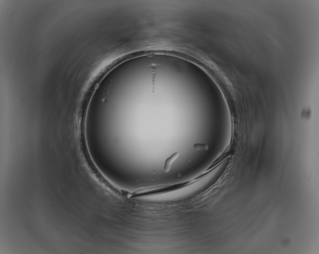 X0000096171416200801181240