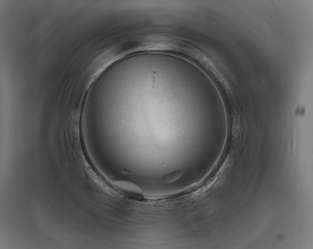 X0000096171417200801181240