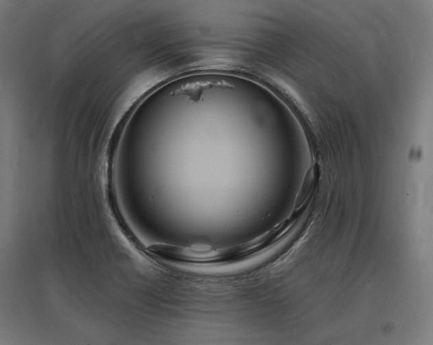 X0000096171418200801181240