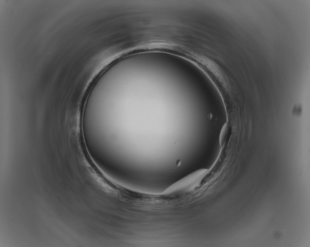 X0000096171420200801181240
