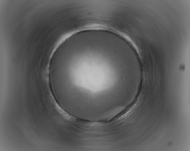 X0000096171421200801181240