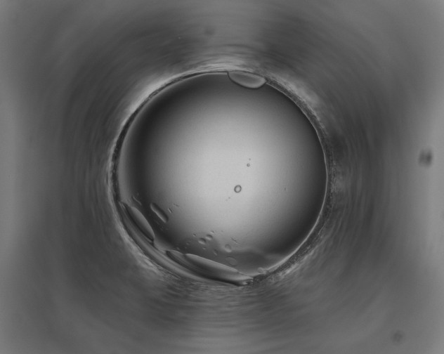 X0000096171423200801181240