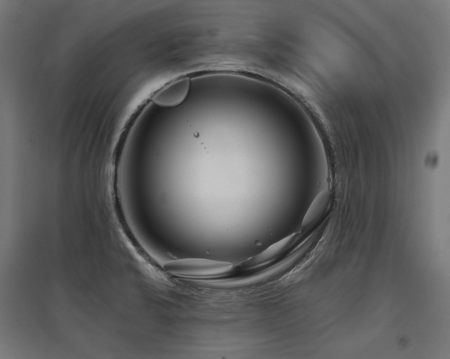 X0000096171424200801181240
