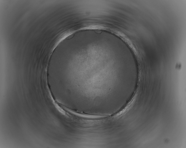 X0000096171425200801181240