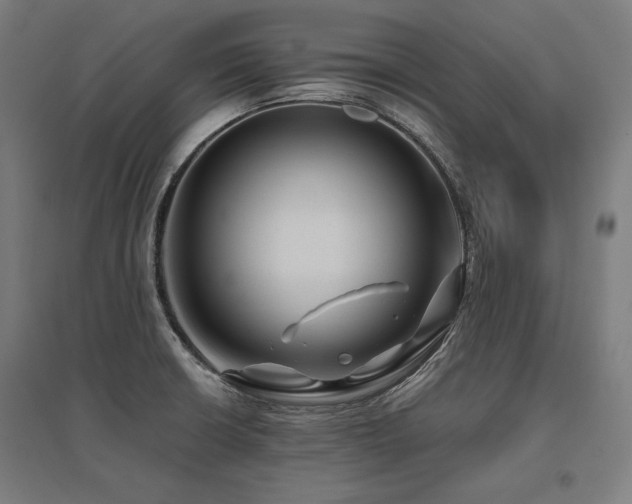 X0000096171426200801181240