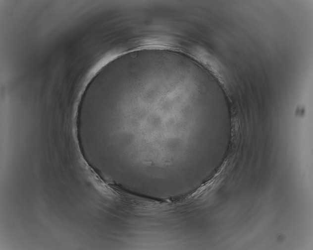X0000096171427200801181240