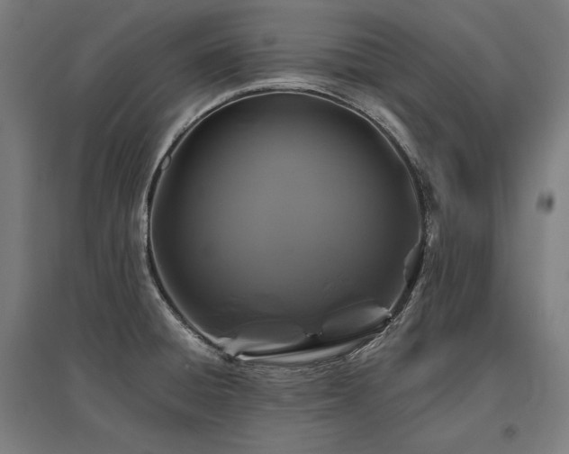 X0000096171428200801181240