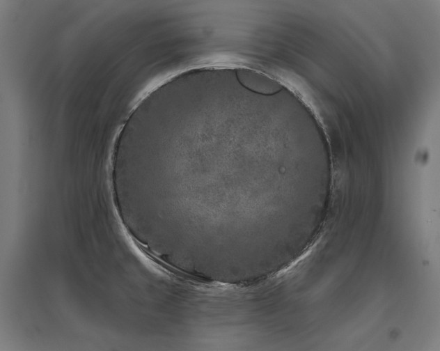 X0000096171429200801181240