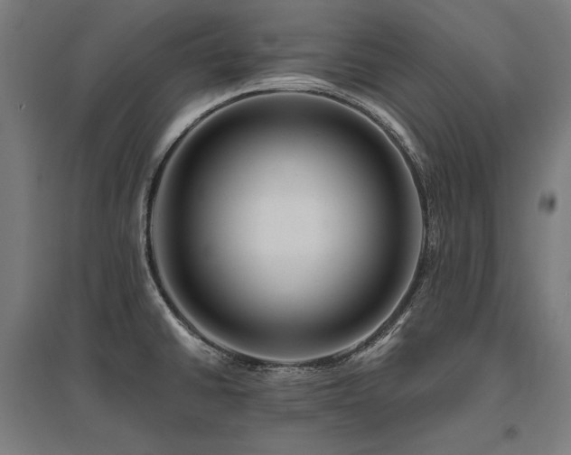 X0000096171430200801181240