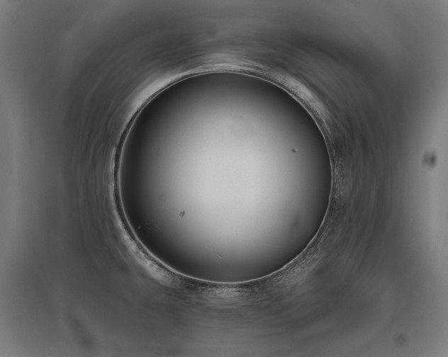 X0000096171431200801181240