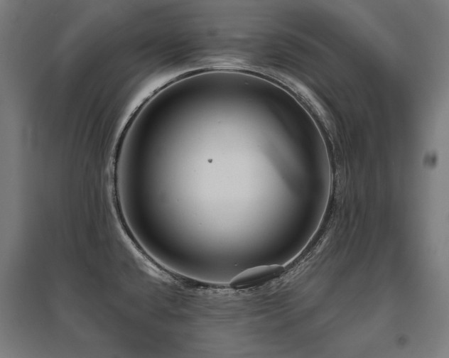 X0000096171432200801181240