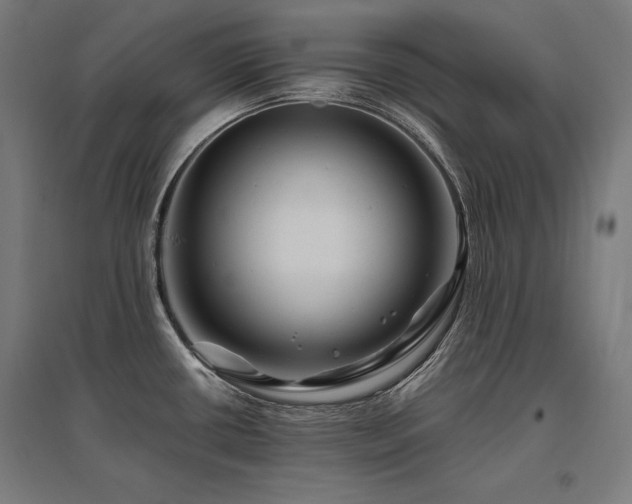 X0000096171434200801181240