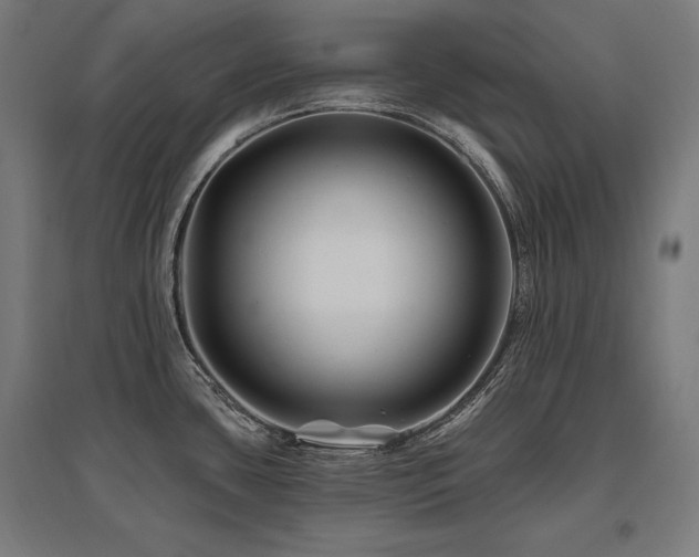 X0000096171435200801181240