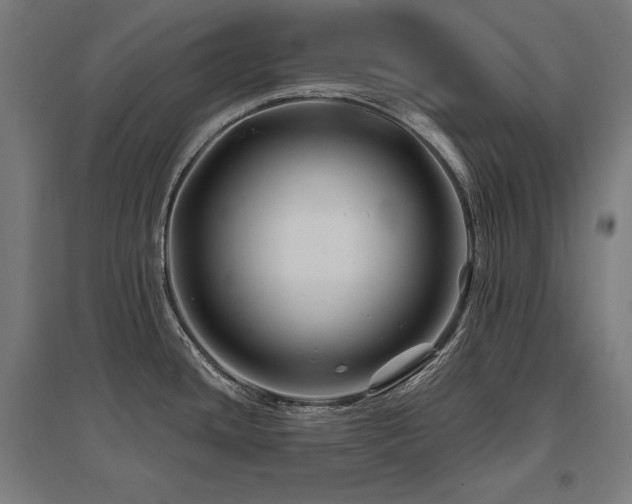 X0000096171436200801181240