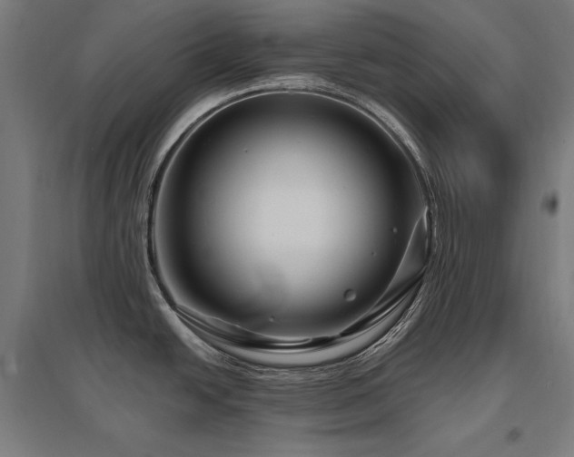 X0000096171438200801181240