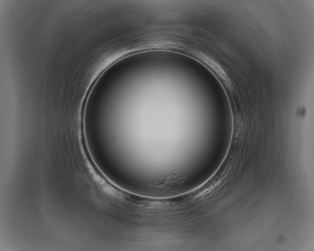 X0000096171439200801181240