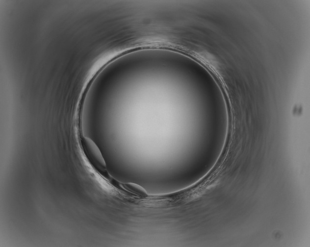 X0000096171440200801181240