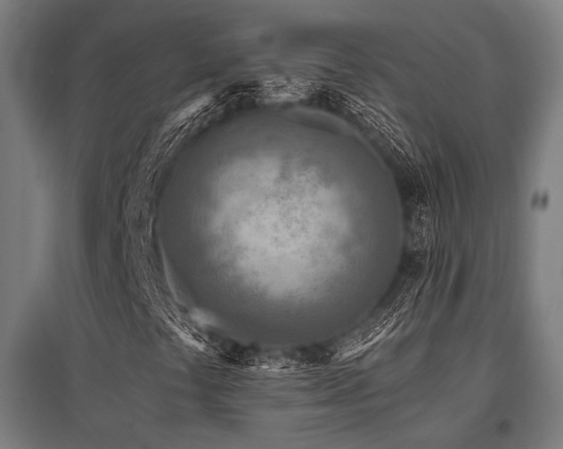 X0000096171441200801181239
