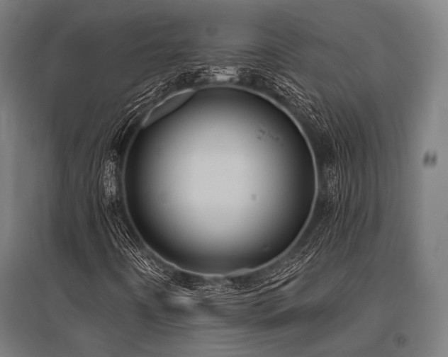 X0000096171442200801181239