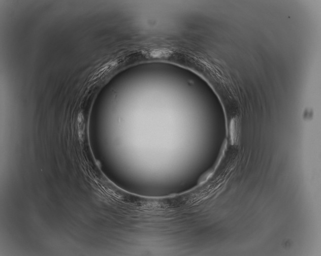 X0000096171443200801181239