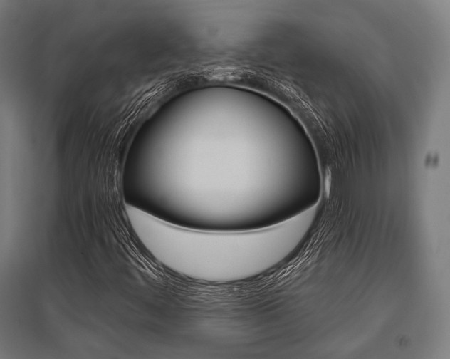 X0000096171444200801181239
