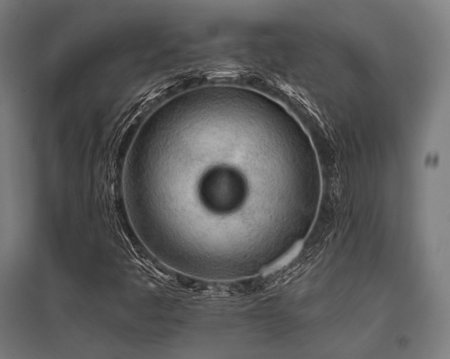 X0000096171445200801181239