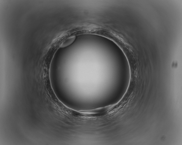 X0000096171447200801181239
