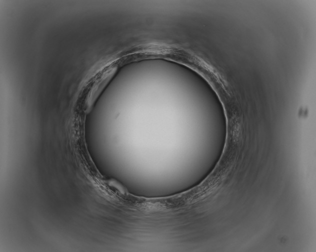 X0000096171448200801181239