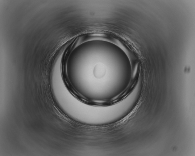 X0000096171449200801181239