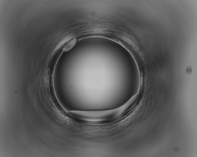 X0000096171450200801181239