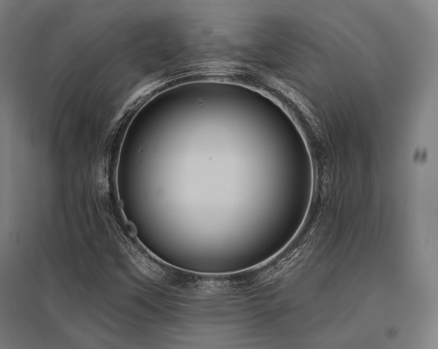 X0000096171451200801181239