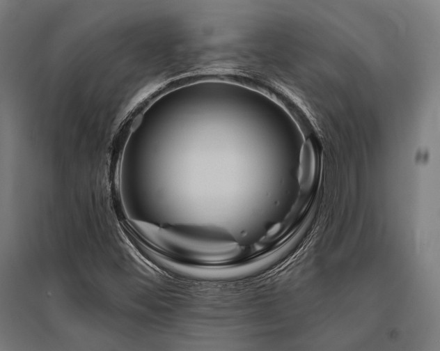 X0000096171452200801181239