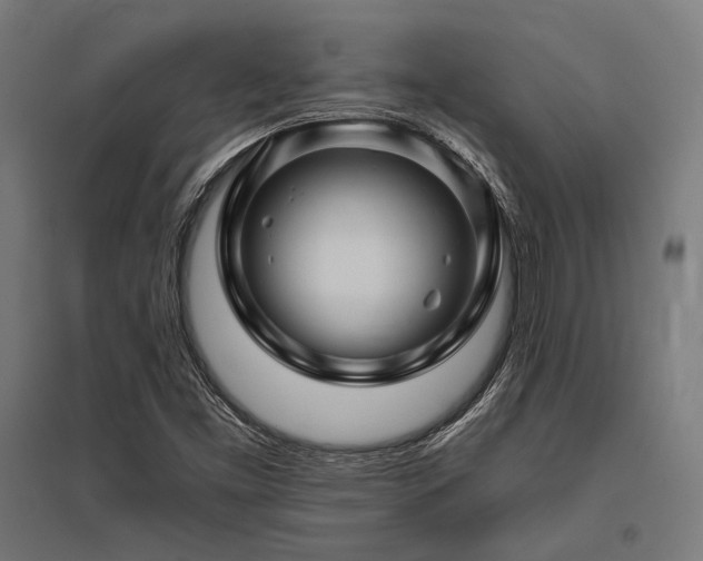 X0000096171453200801181239