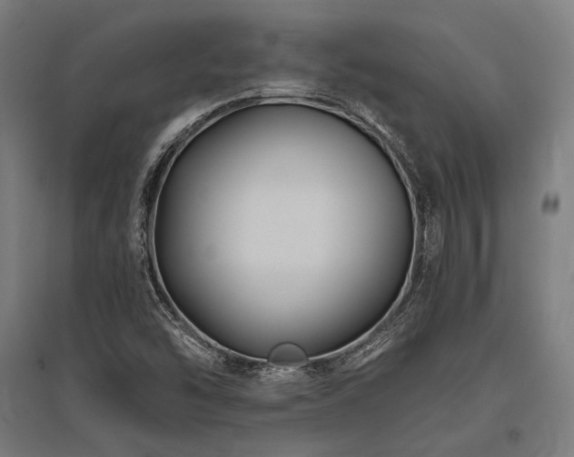 X0000096171454200801181239