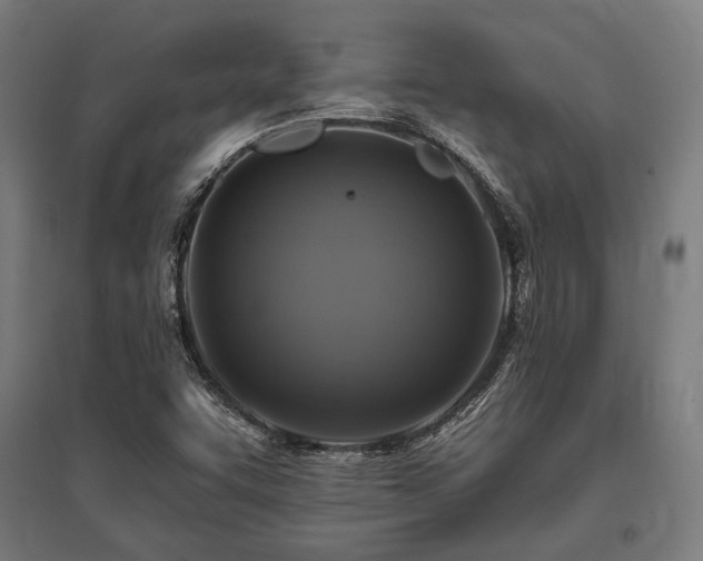 X0000096171455200801181239