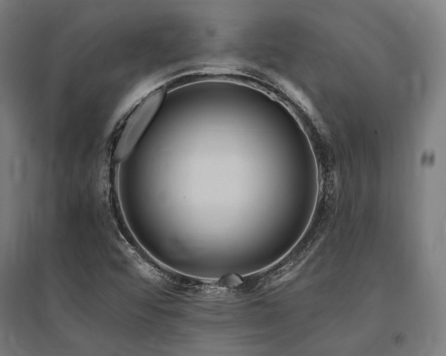 X0000096171456200801181239
