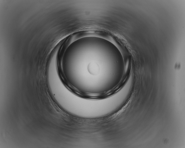 X0000096171457200801181239
